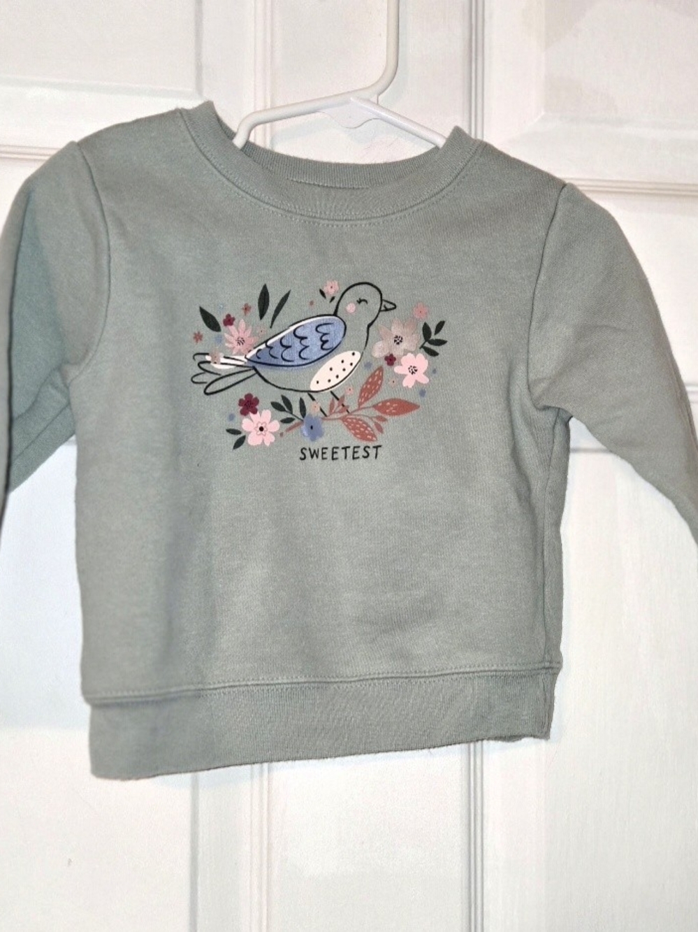 Garanimals Sage Green Bird & Floral Graphic Sweatshirt SZ 18M